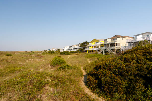 istock Beach houses on the green sand dunes 1048587276