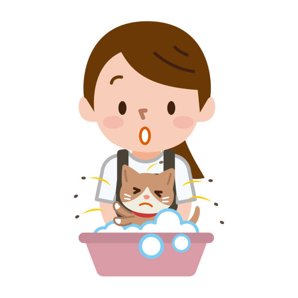 illustrations, cliparts, dessins animés et icônes de femmes marié à laver les chats - sales clerk