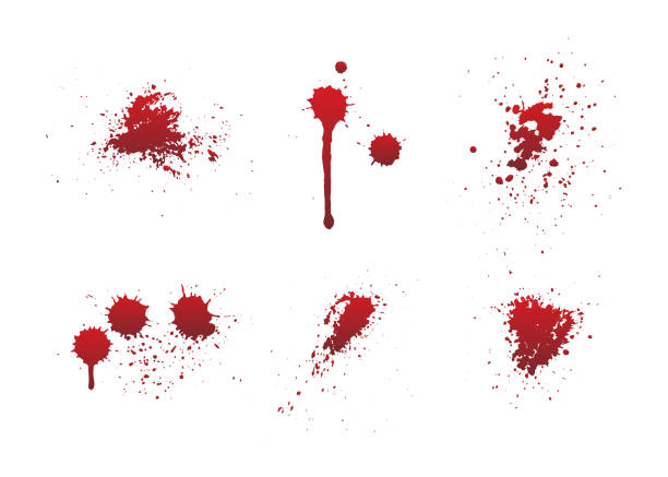 ilustraciones, imágenes clip art, dibujos animados e iconos de stock de goteos de sangre o pintura roja conjunto aislado en fondo blanco. - blood spots