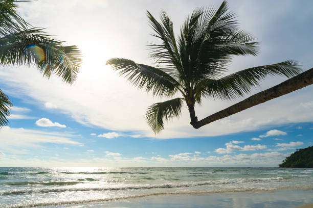 istock Beautiful tropical beach and sea 1048627068