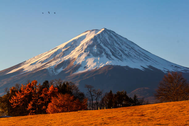istock Mt. Fuji Volcano in Japan's winter season 1048629882
