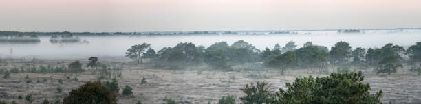 istock The Kalmhoutse heather park 1048635946