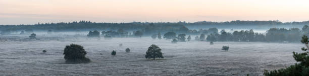 The Kalmhoutse heather park