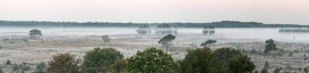 istock The Kalmhoutse heather park 1048636038