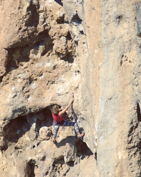 istock Young female rock climber on a cliff face. 1048653560
