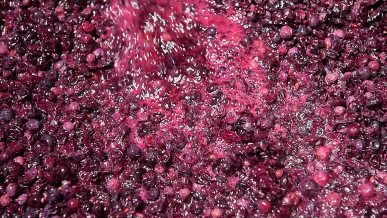 Fermentation Mixing 3,300+ Fermentation Process Stock Videos and Royalty-Free Footage - iStock