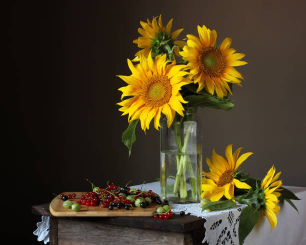 Still life with a bouquet of sunflowers and garden berries: currants and gooseberries.
