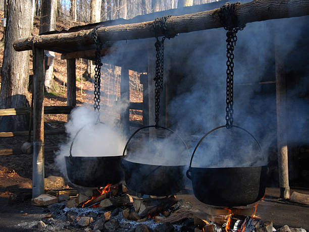 brodelnd cauldrons - maple syrup tree sap stock-fotos und bilder