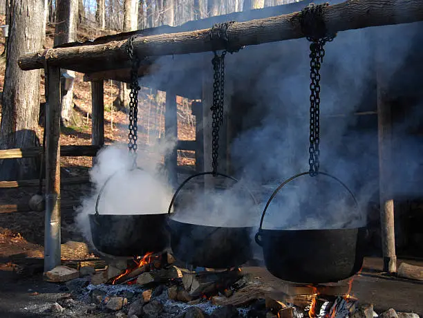 Traditional way of making maple syrup by boiling the sap in a cauldron-great halloween image