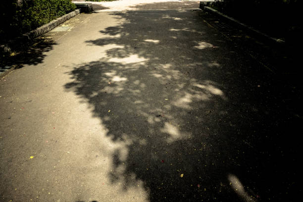 istock Trail in the park. Natural scenery in Asia. 1048672848