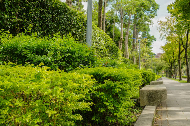 istock Trail in the park. Natural scenery in Asia. 1048672872
