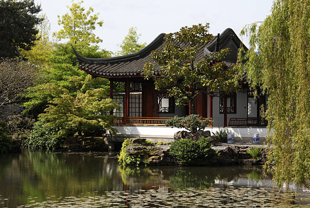 A tranquil Chinese Garden