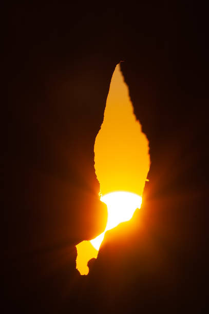 istock Sun shining through the crevice of a tree 1048684012