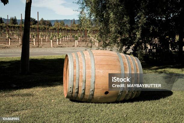 Big Jarro - Fotografias de stock e mais imagens de Barril - Barril, Relva, Vinho