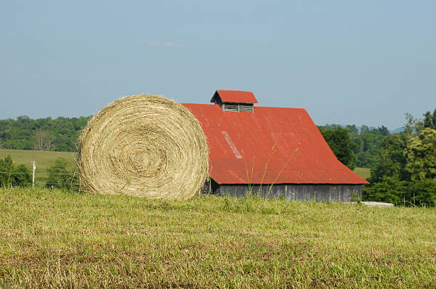 istock Hay bale in field near a Kentucky barn 104870226