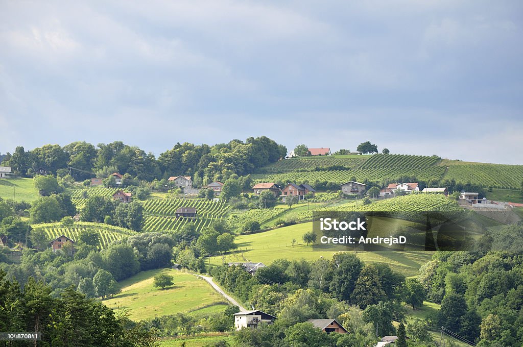 Sanfte Hügel. Slovenija - Lizenzfrei Agrarbetrieb Stock-Foto