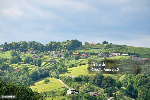 Colline Ondulate Slovenija - Fotografie stock e altre immagini di Agricoltura - Agricoltura, Albero, Ambientazione esterna
