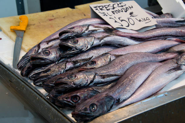 nasello europeo (merliccius merluccius) sulla bancarella del mercato della pescheria - catch of fish healthy eating hake food foto e immagini stock