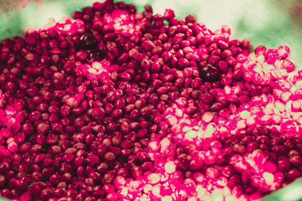 istock Bones from the cherry. Cherry seeds. Background of bones. 1048719908