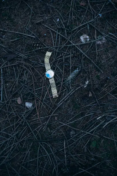 Photo of Lost watch on forest ground.