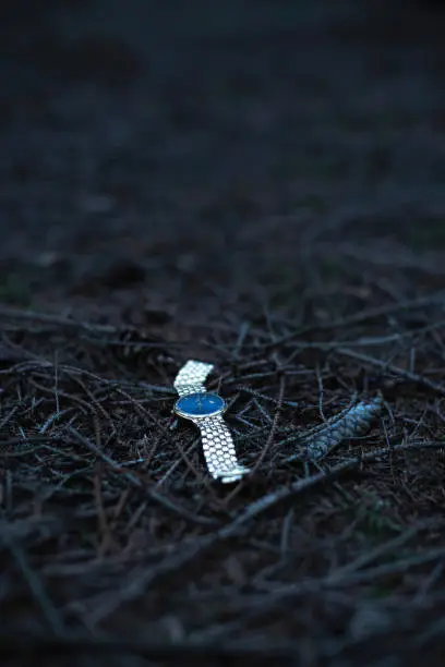 Photo of Lost watch on forest ground.