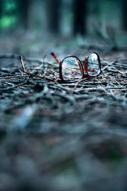 Photo of Lost glasses on ground of pine forest.