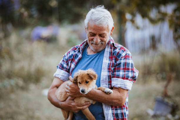 istock Senior man holding a cute puppy 1048730842