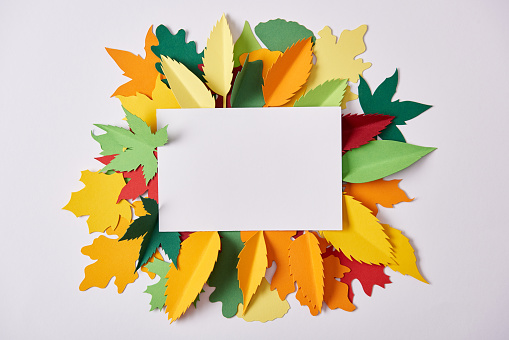 flat lay with blank paper and colorful handcrafted foliage arranged on white backdrop