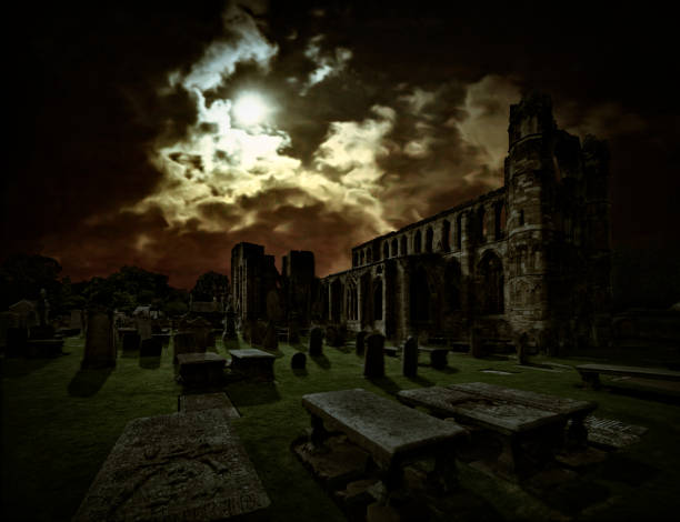 istock Old tombs with cathedral in the moonlight 1048735710