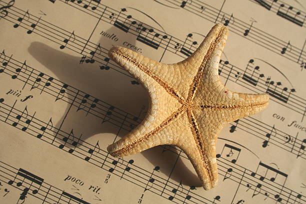 Abstract Music Starfish stock photo