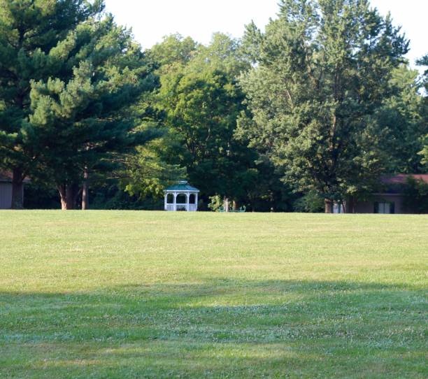 istock Beautiful Park Landscape 1048739894