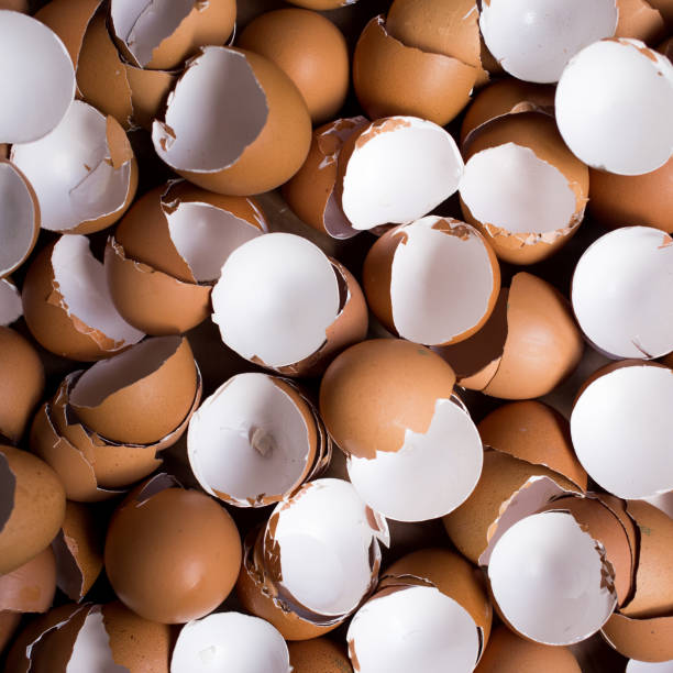 istock Background of many Eggshells on the wooden table 1048740630
