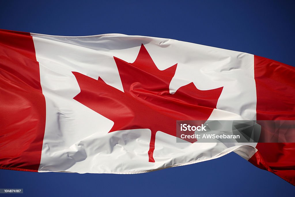 Bandera canadiense - Foto de stock de Bandera canadiense libre de derechos