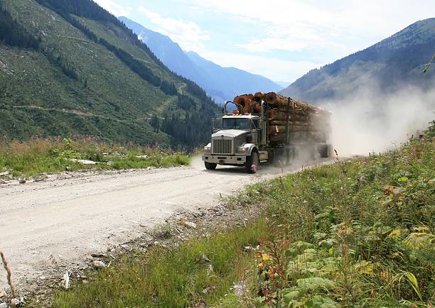 istock Logging truck in upper Adams River valley, BC, Canada. 104875449