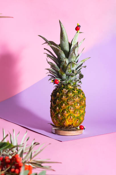 istock Creative layout made of pineapple on pink background. Food concept with copy space 1048757394