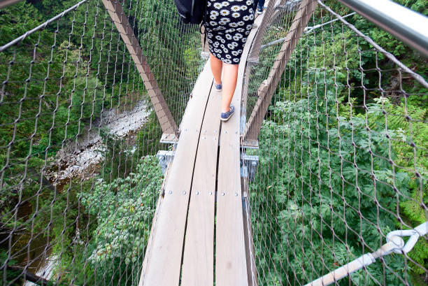istock Suspended walkway, Capilano, Vancouver, B.C., Canada 1048759584