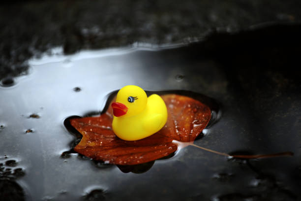 istock Autumn leaf toy duck 1048760518
