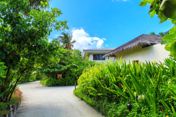 istock The charming scenery of maldives 1048760928