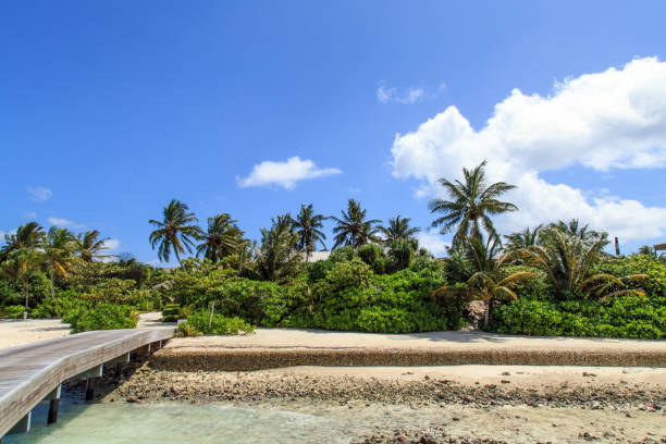 istock The charming scenery of maldives 1048761142