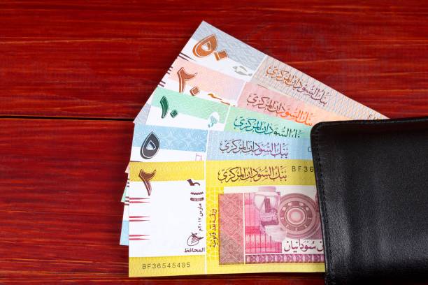 istock Money from Sudan in the black wallet 1048764446