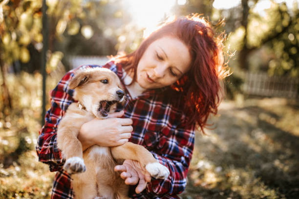 istock Spending the day with best friend 1048764500