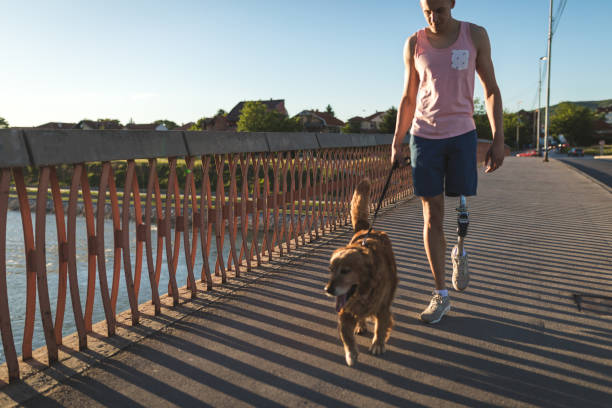 Man Walking a Labrador retriever dog
