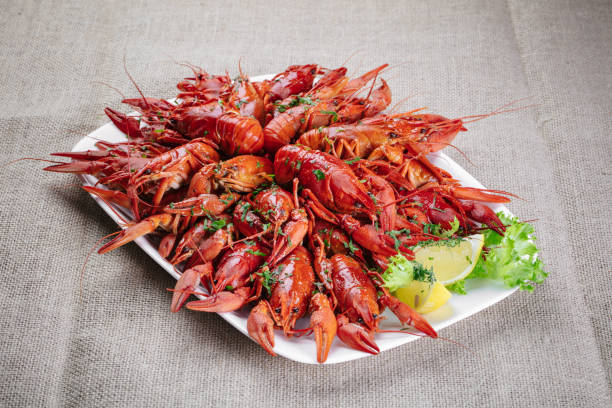 istock Beer snack - boiled crayfish with dill and lemon on a plate 1048771628