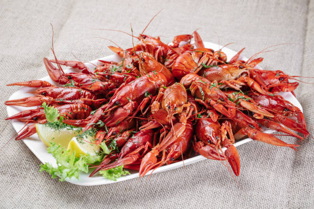 istock Beer snack - boiled crayfish with dill and lemon on a plate 1048771678