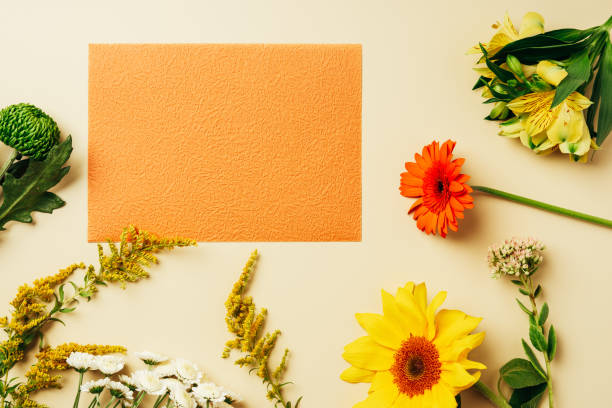 istock flat lay with various wildflowers around blank orange card on beige background 1048774660