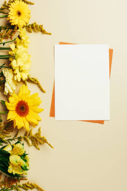 istock flat lay with bright flowers, empty white and orange cards on beige background 1048775080