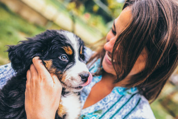 istock Woman with puppies 1048789482