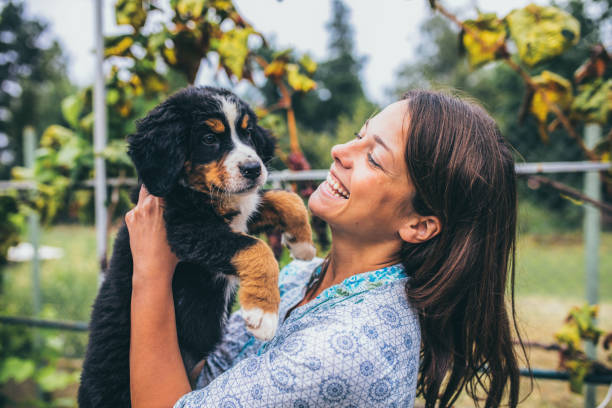 istock Woman with puppies 1048789512