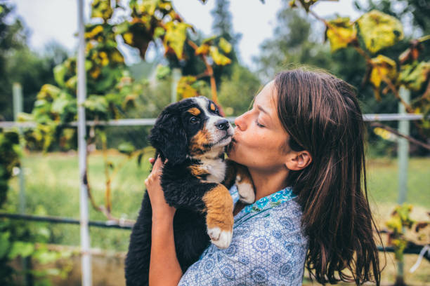 istock Woman with puppies 1048790006