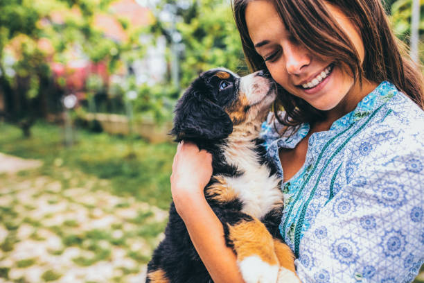 Woman with puppies Woman with puppies rescued dog stock pictures, royalty-free photos & images